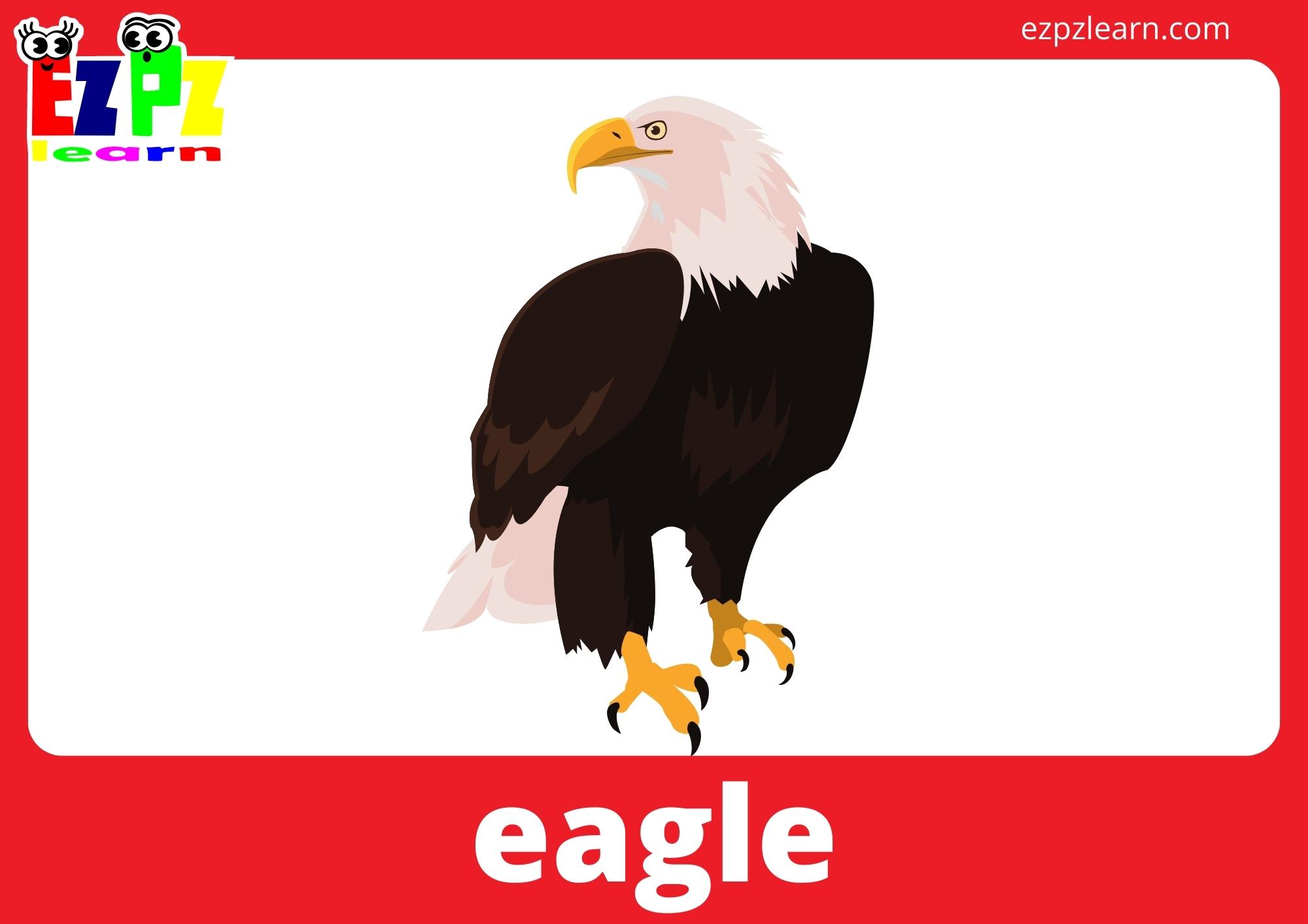 eagle